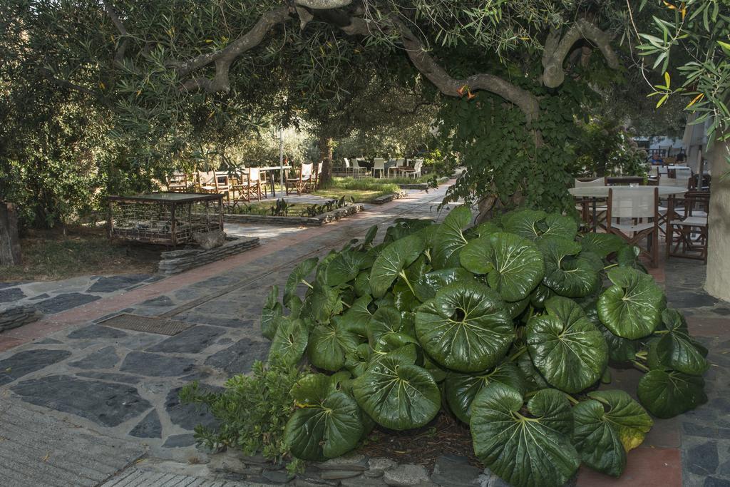 Hotel Cala Joncols Росес Екстериор снимка